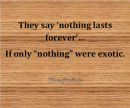 they say 'nothing lasts forever'... if only 
